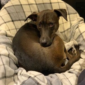 Meet your Posher, Kristin